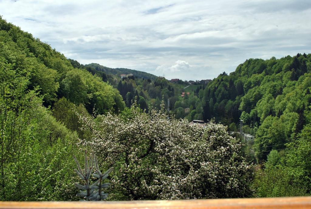 Apartament Fewo Radi An Der Buchberger Leite Hohenau Zewnętrze zdjęcie