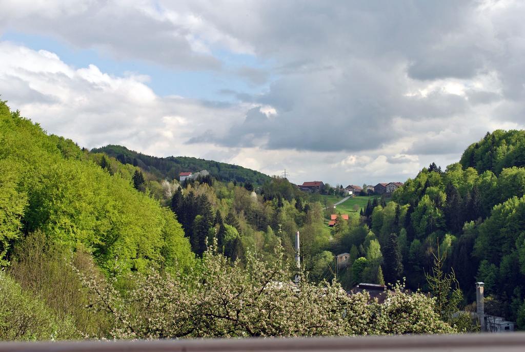 Apartament Fewo Radi An Der Buchberger Leite Hohenau Zewnętrze zdjęcie